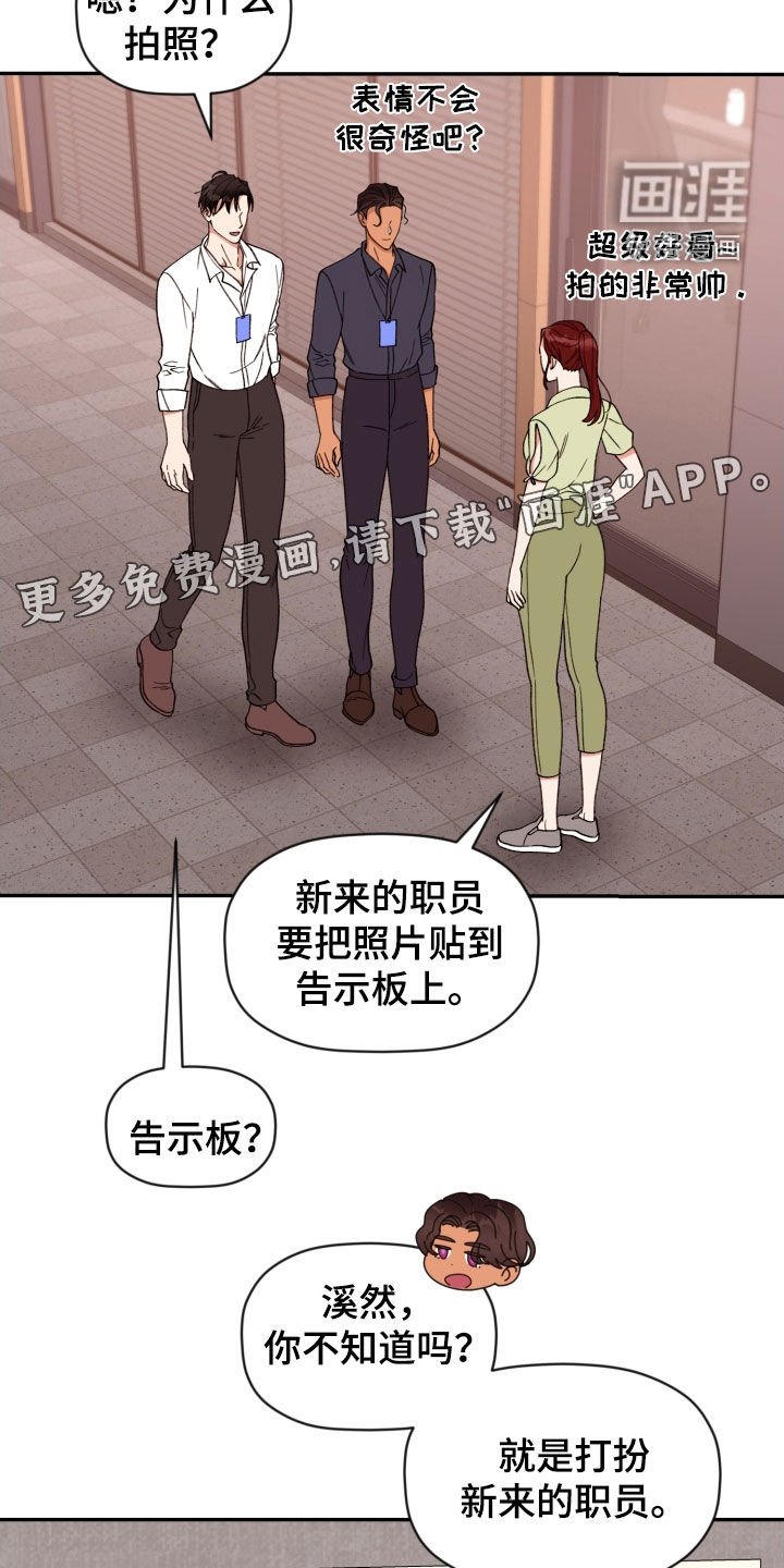 第73章：【番外】办公室恋情
