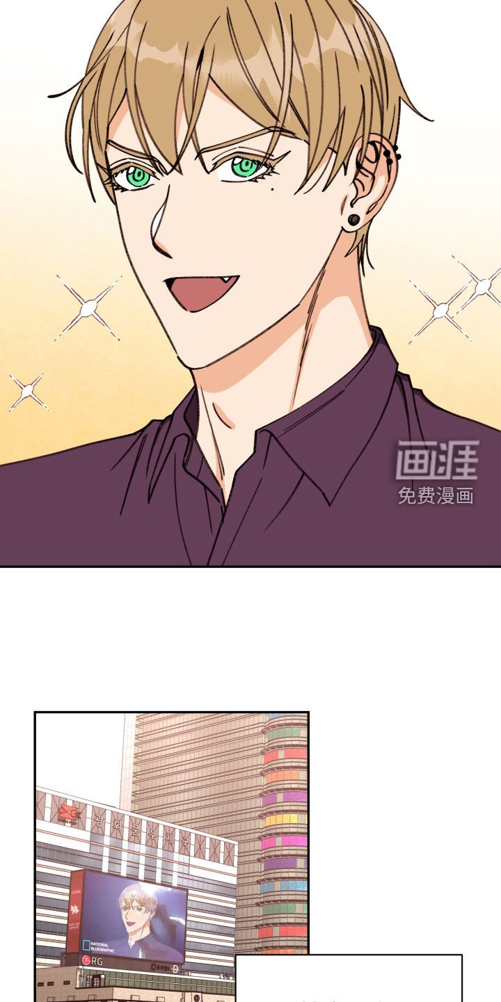 第78章：【番外】各自的选择
