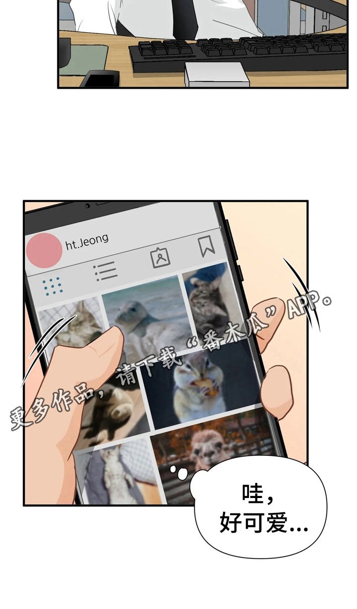 第14章：培训