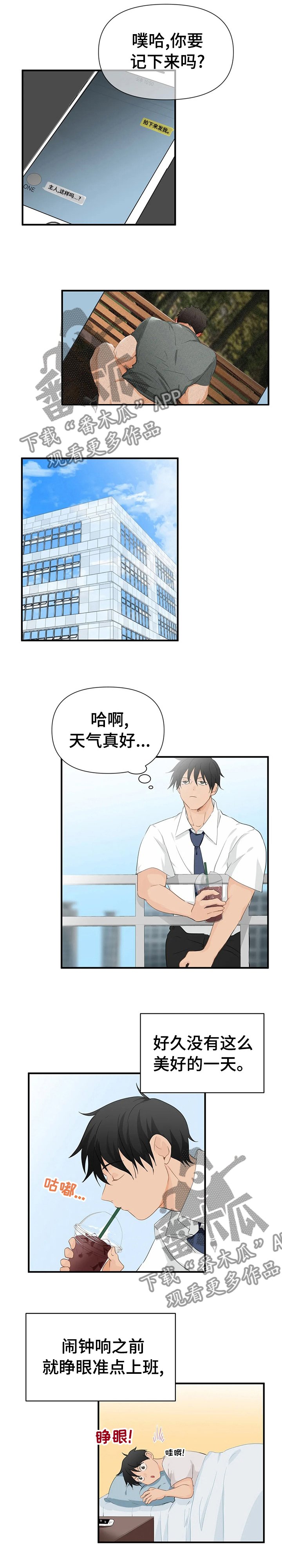 第26章：完美的周五
