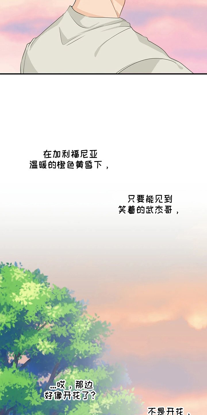 第93章：【第二季完结】很幸福