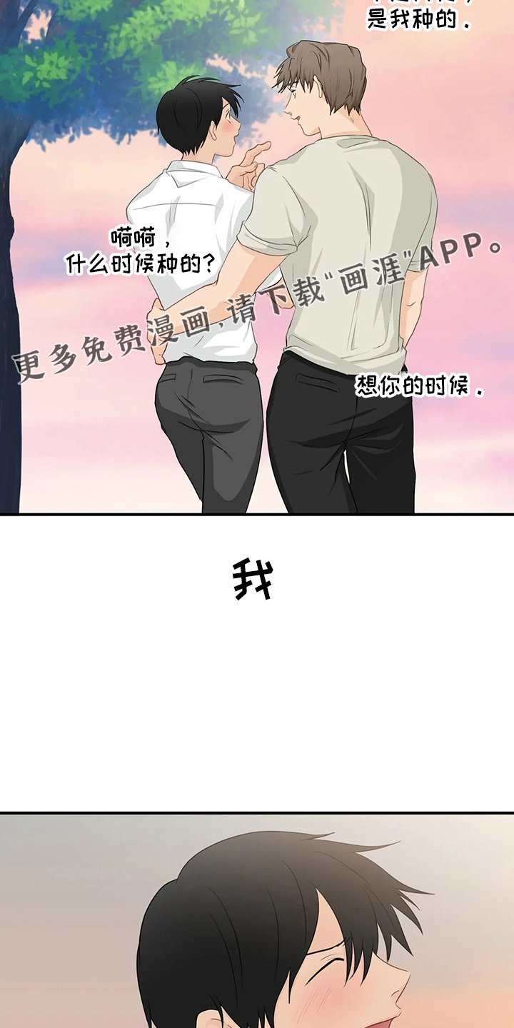 第93章：【第二季完结】很幸福