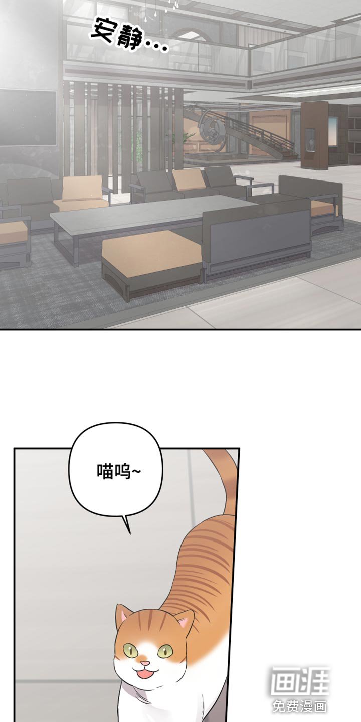 第146章：【第二季】结束了