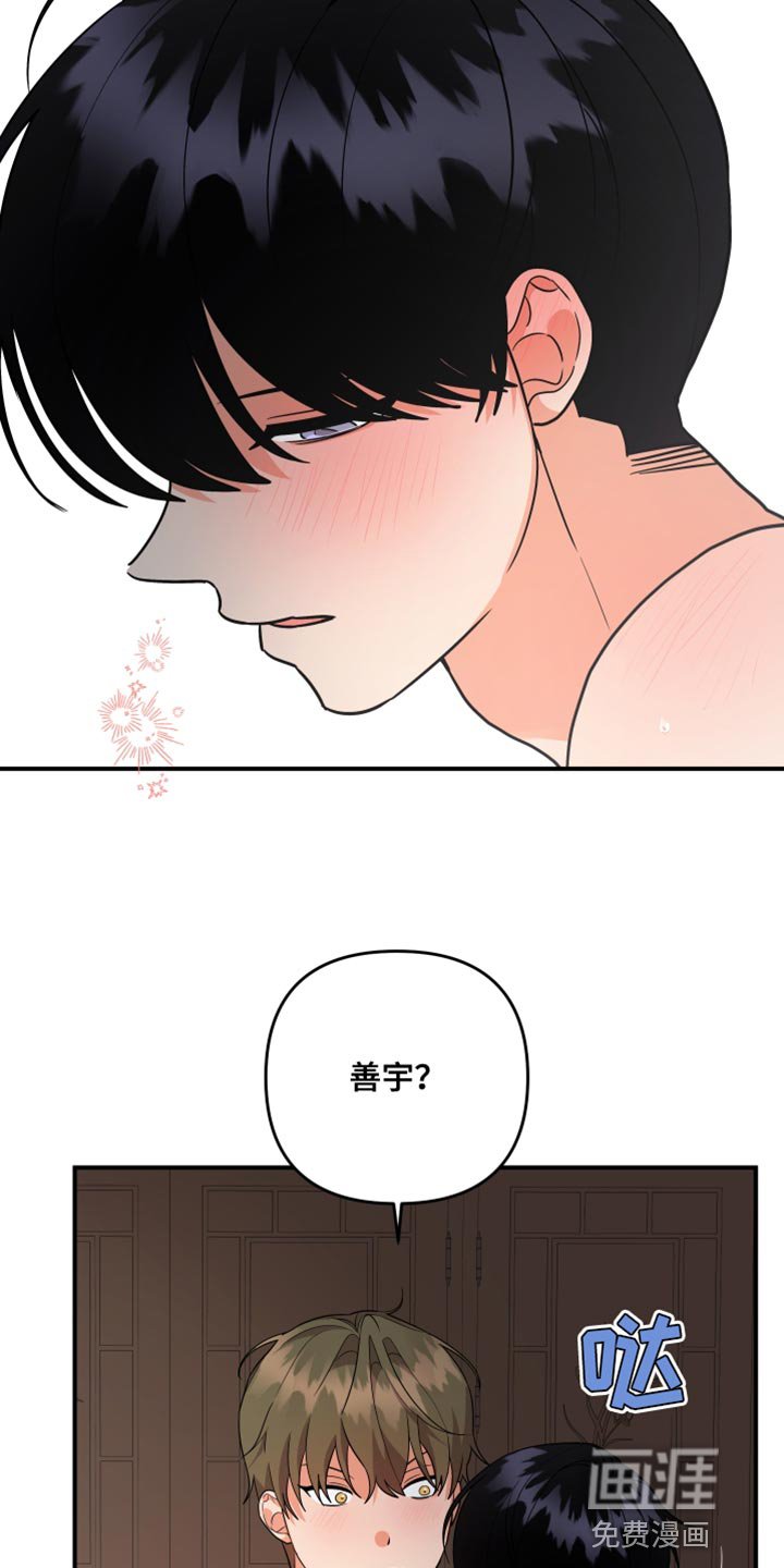 第157章：【第二季】宠物店的猫