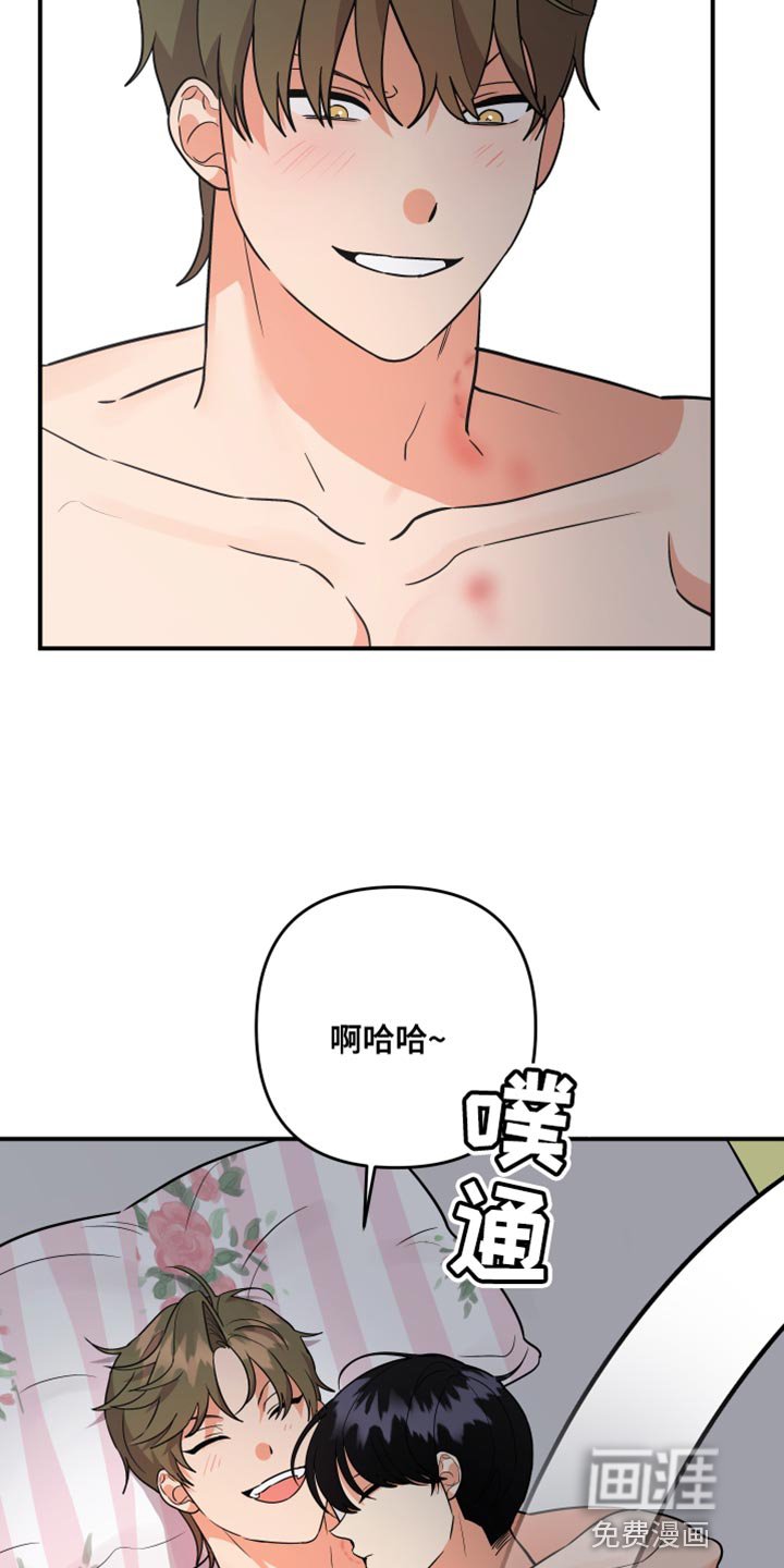 第157章：【第二季】宠物店的猫