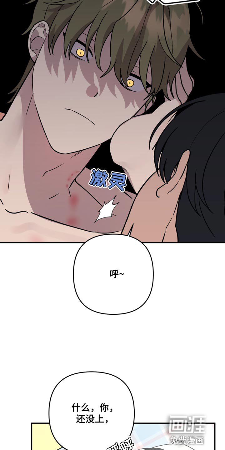 第157章：【第二季】宠物店的猫