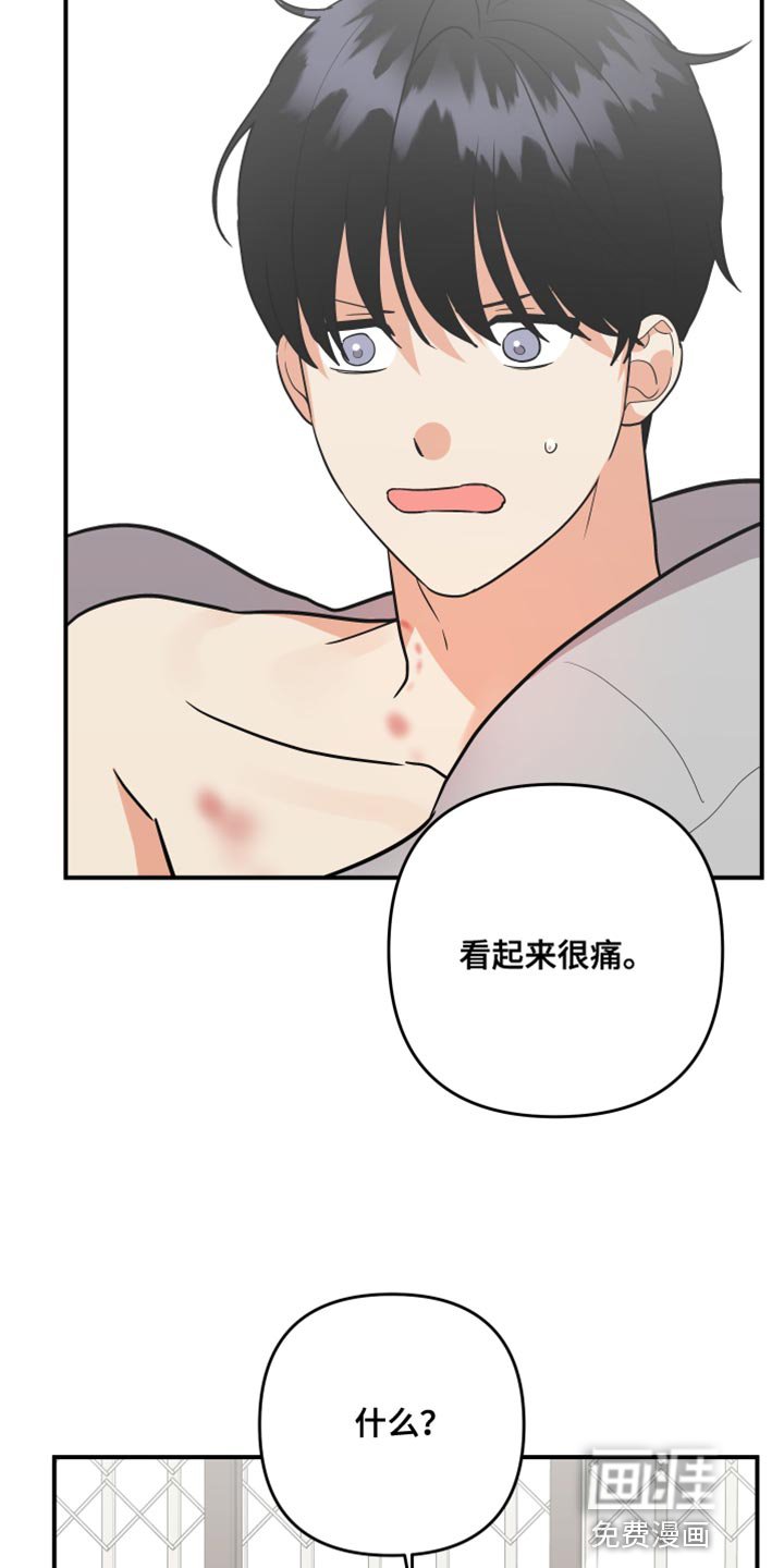 第157章：【第二季】宠物店的猫