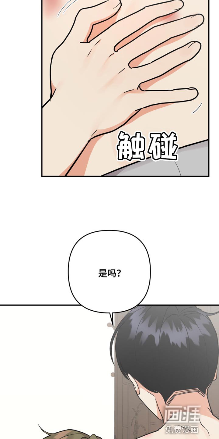 第157章：【第二季】宠物店的猫