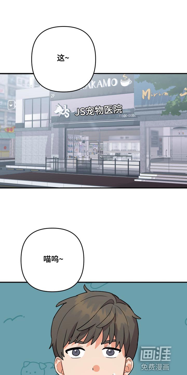 第157章：【第二季】宠物店的猫