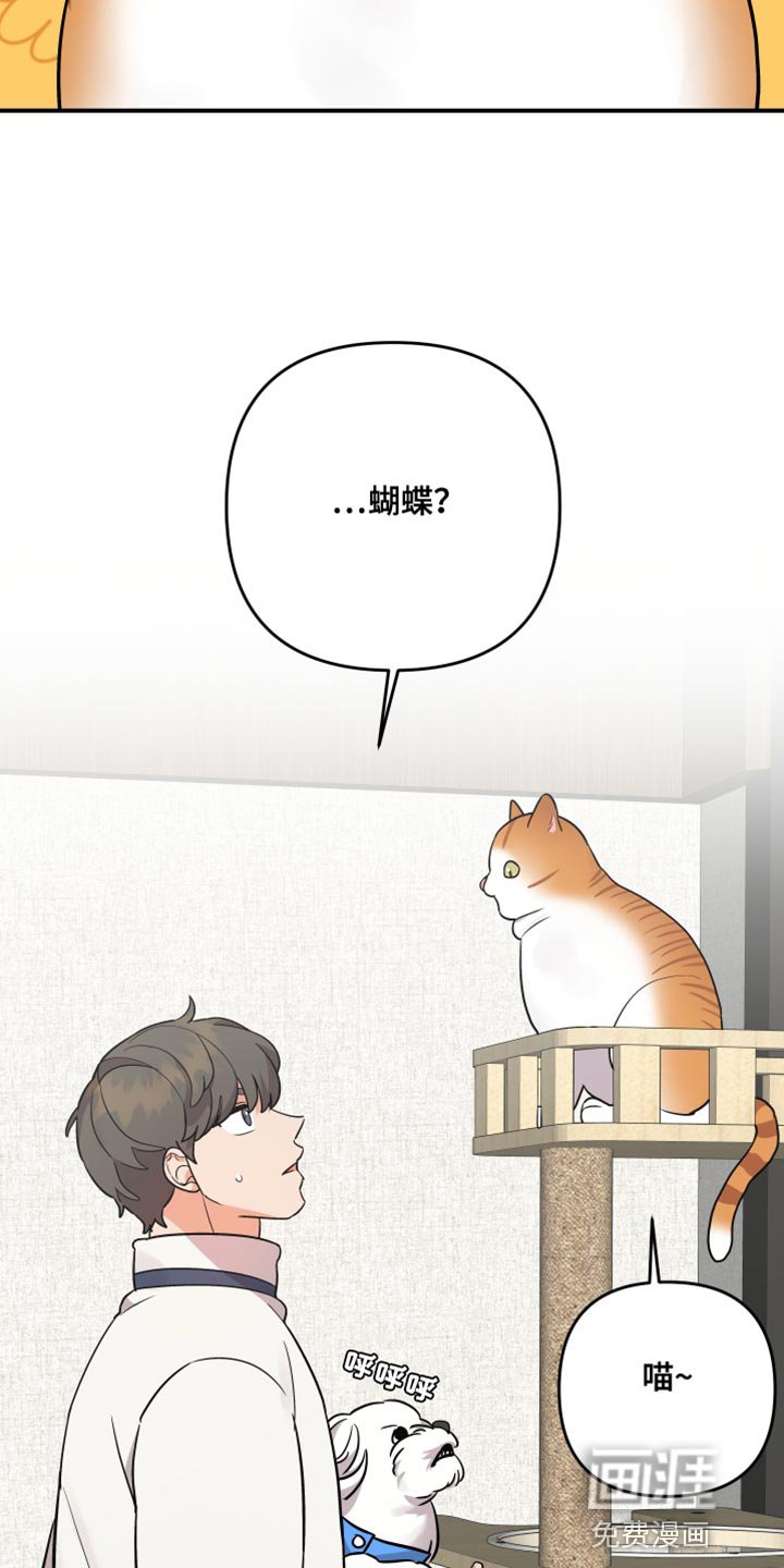 第157章：【第二季】宠物店的猫