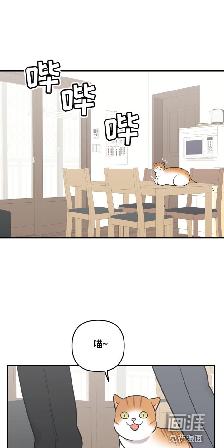 第163章：【第二季】我们回家吧