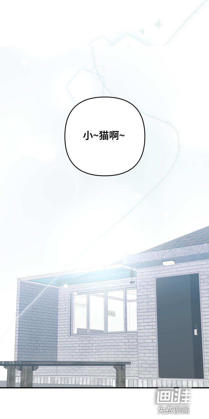 第179章：【番外】回家（完结）