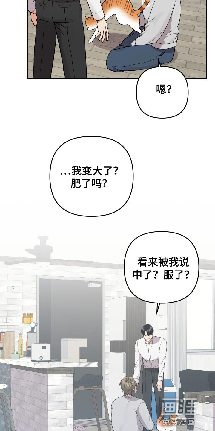 第179章：【番外】回家（完结）