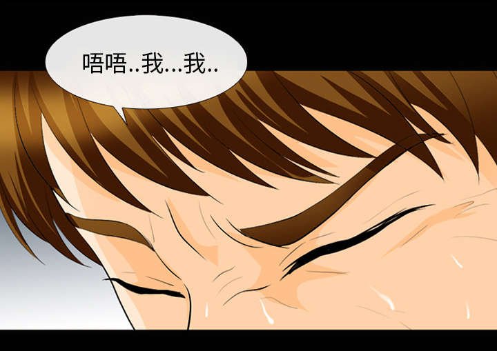 第30章：副作用