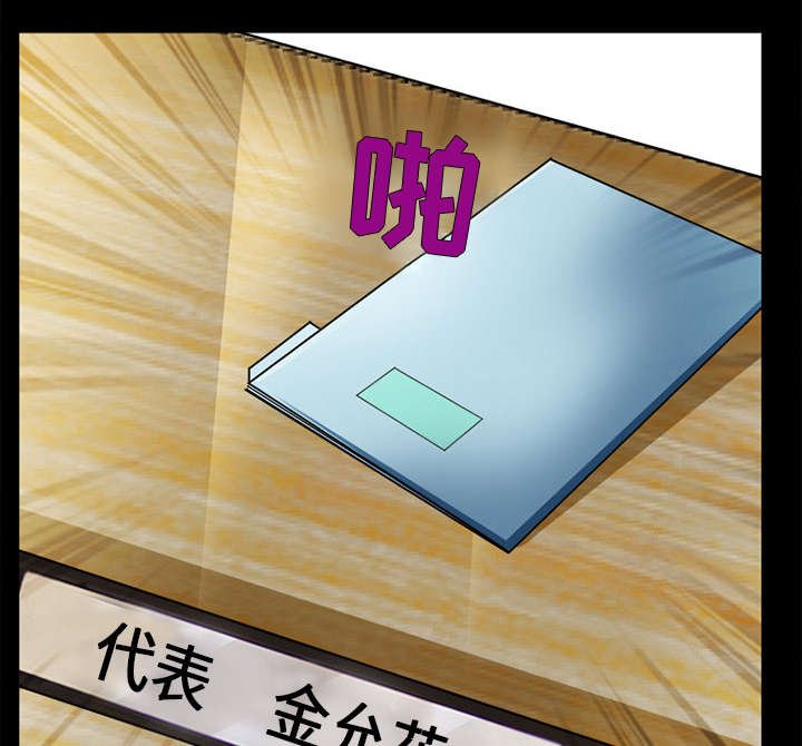 第30章：副作用