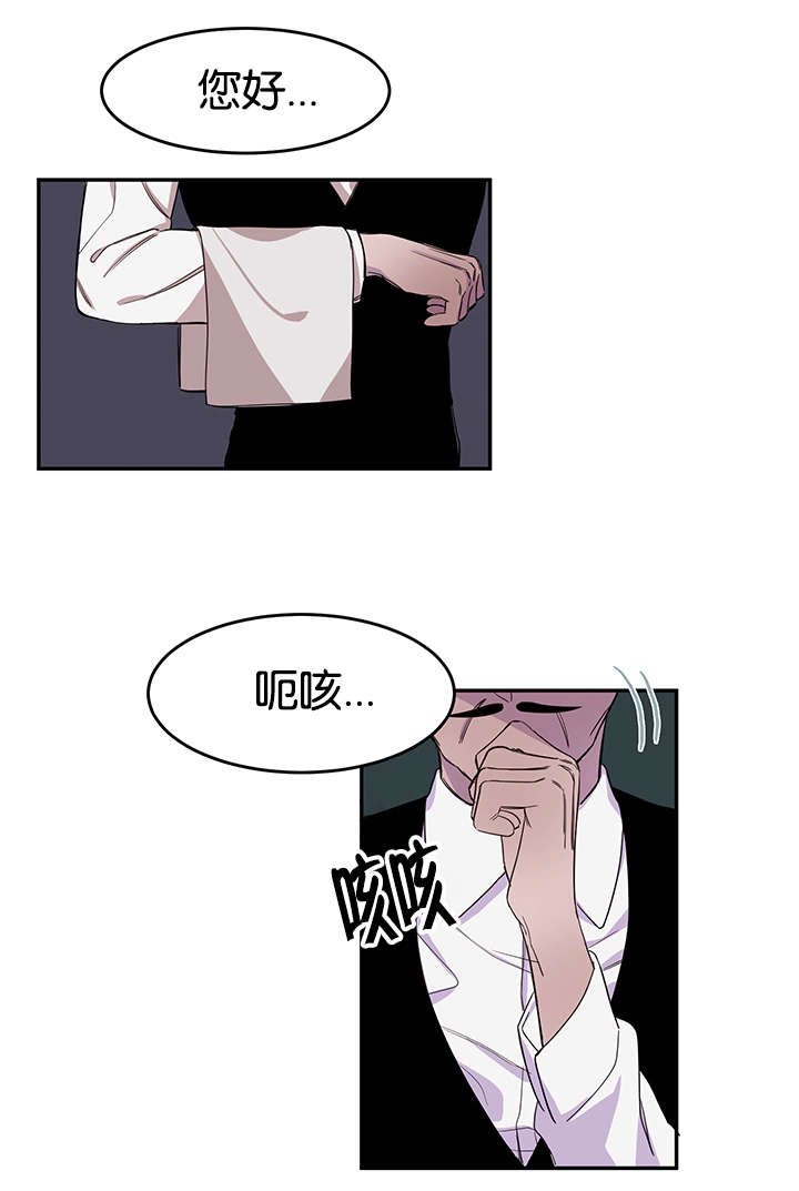 第13章：小鹿乱撞
