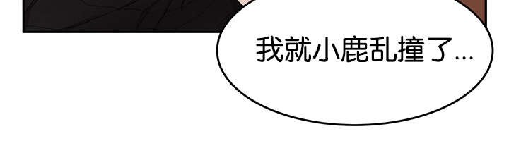 第13章：小鹿乱撞