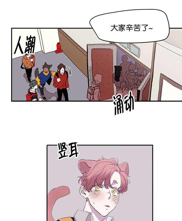 第17章：休学打算