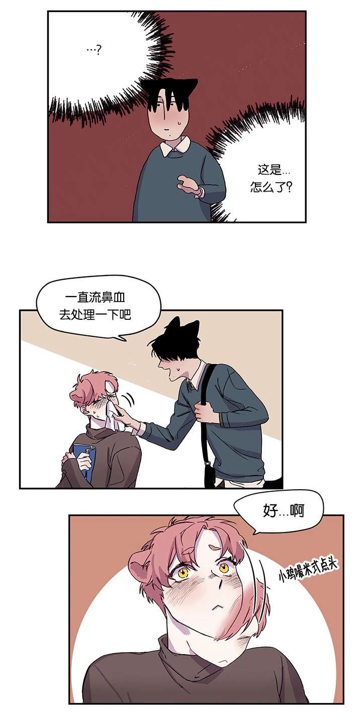 第19章：说出口了