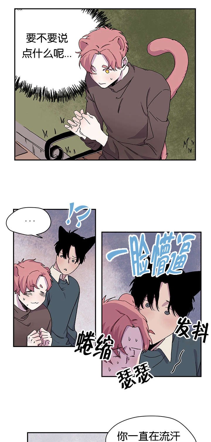 第19章：说出口了