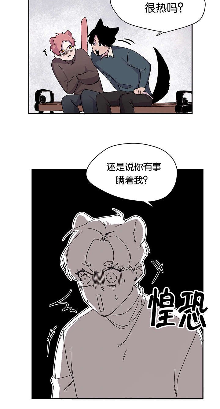 第19章：说出口了