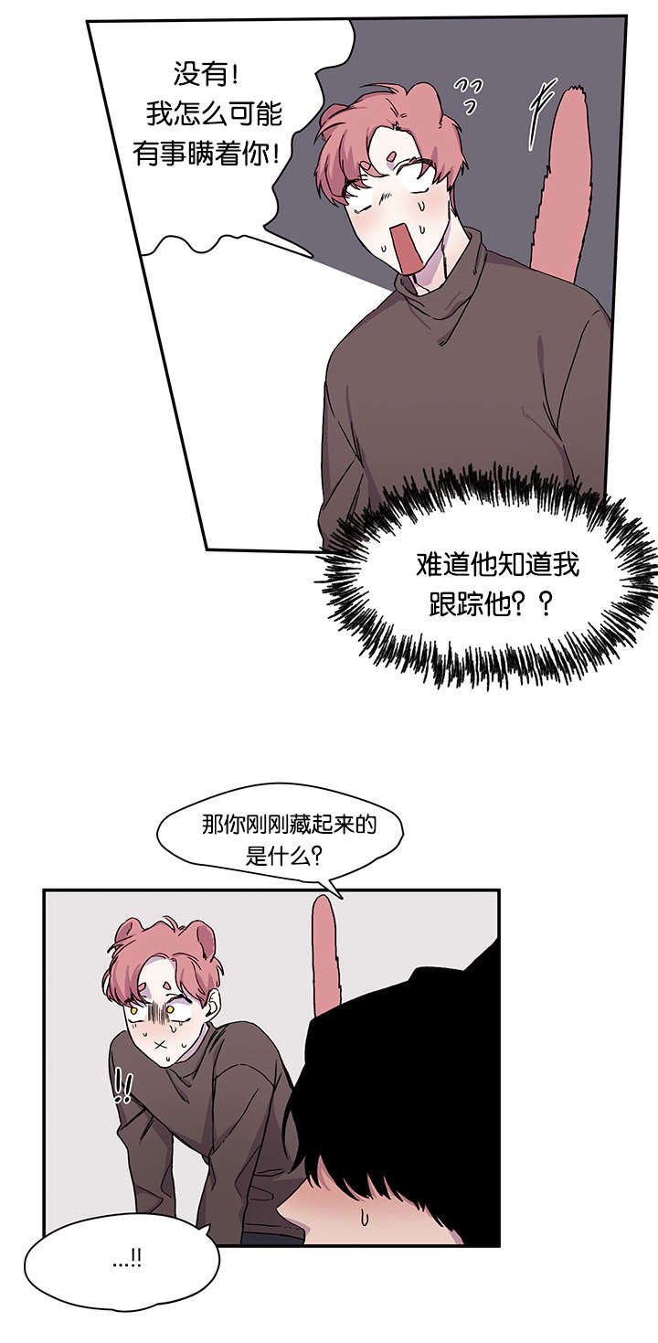 第19章：说出口了