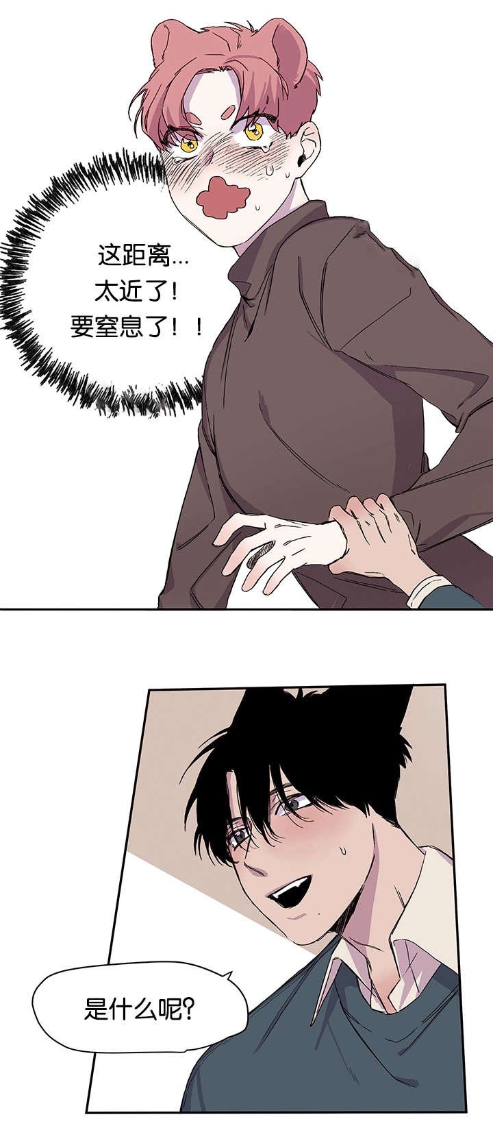 第19章：说出口了