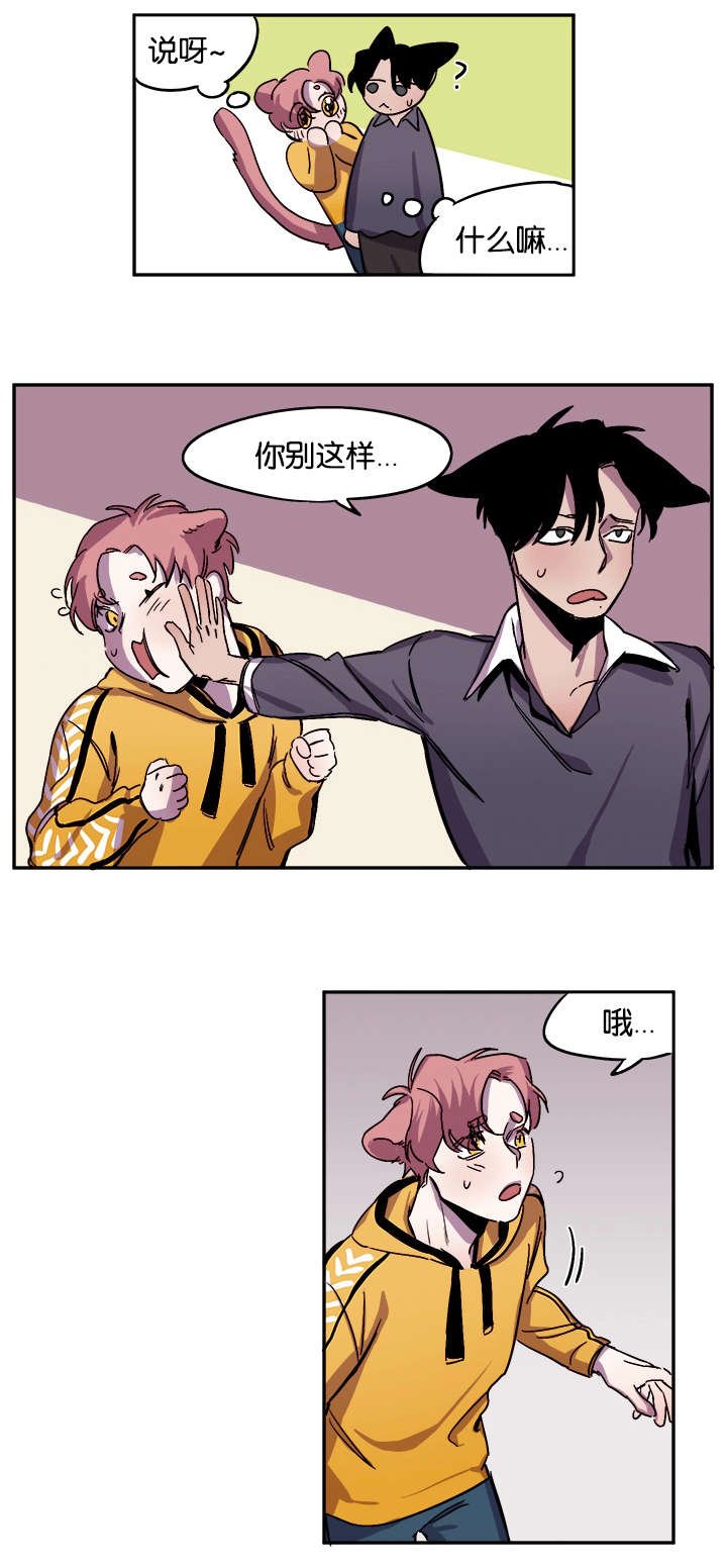 第28章：道歉