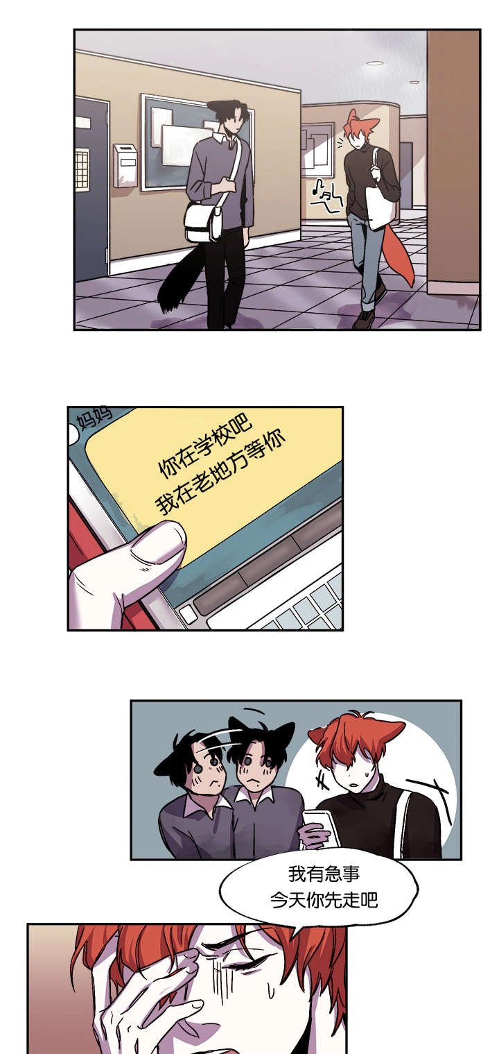 第28章：道歉