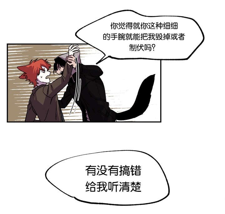 第31章：爱你（完）