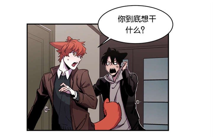 第31章：爱你（完）