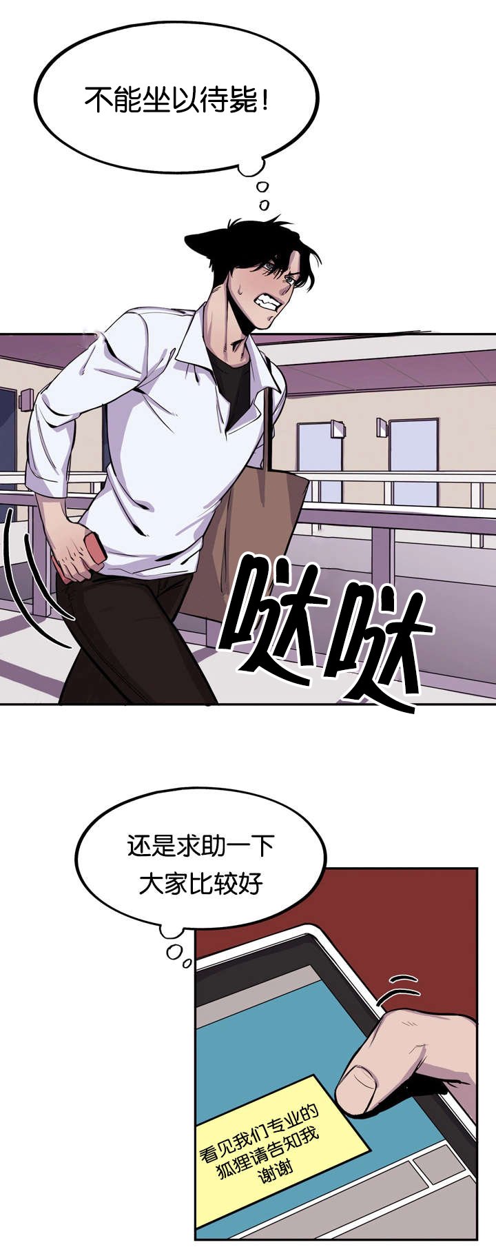 第6章：寻找狐狸