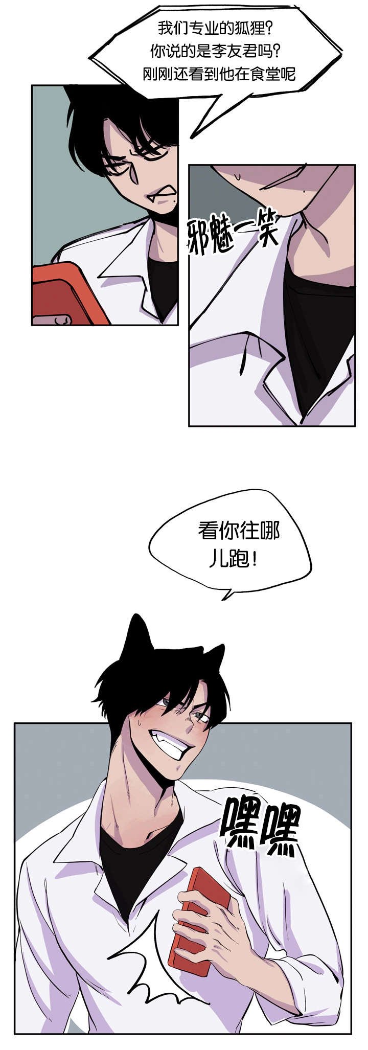 第6章：寻找狐狸
