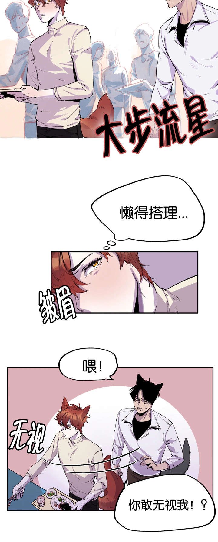 第6章：寻找狐狸