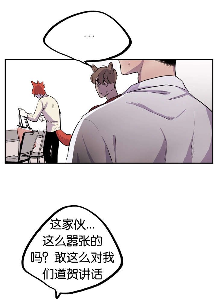 第6章：寻找狐狸
