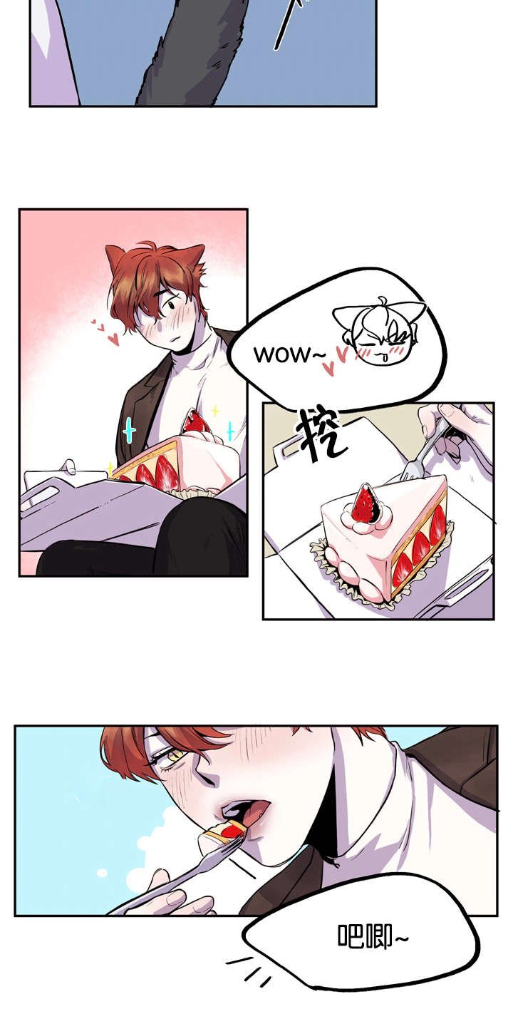 第6章：寻找狐狸