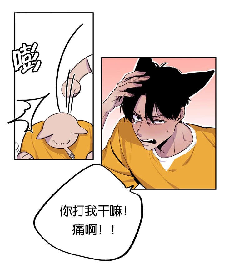 第8章：心跳加速