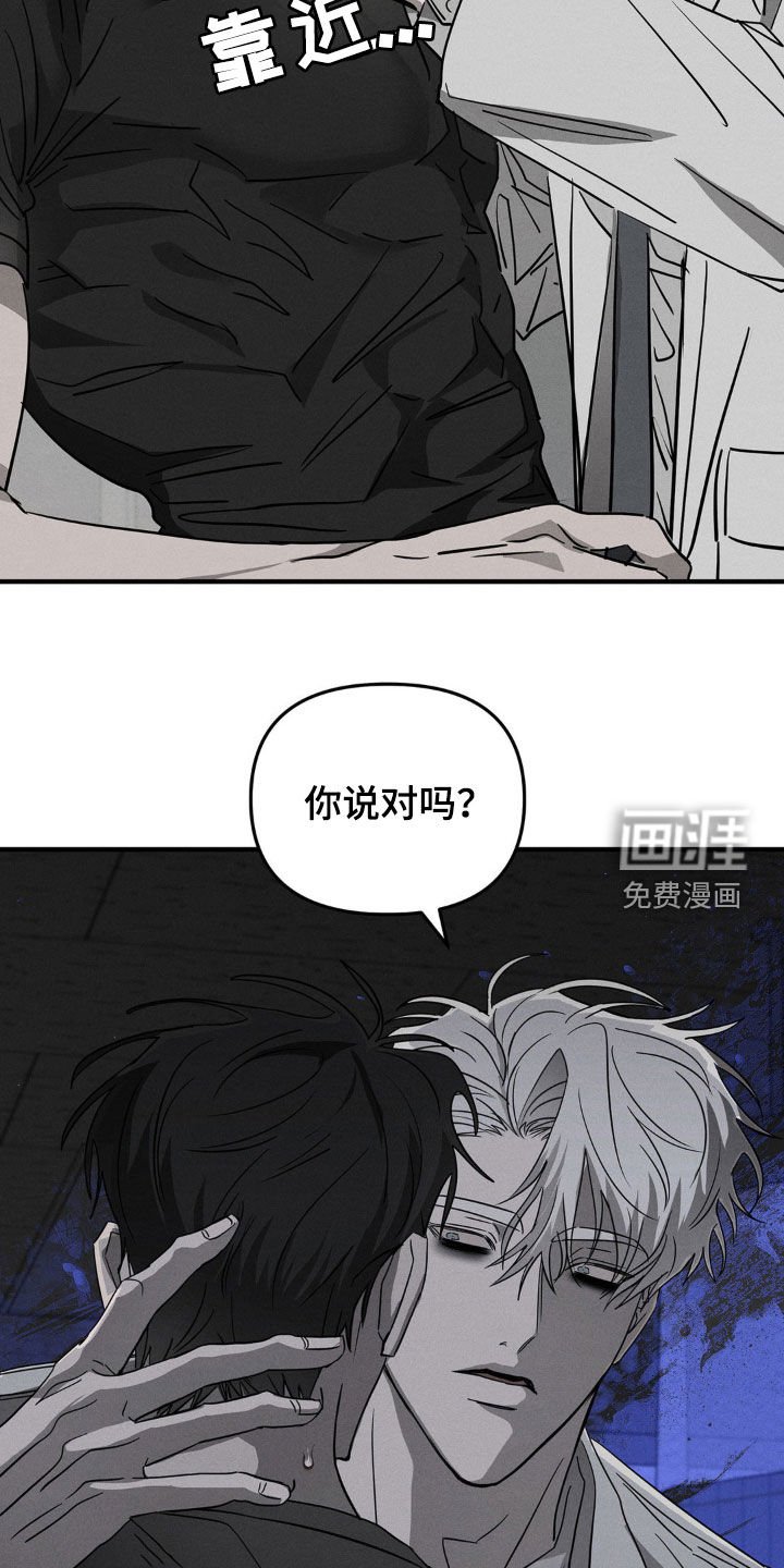 第12章：漏洞百出
