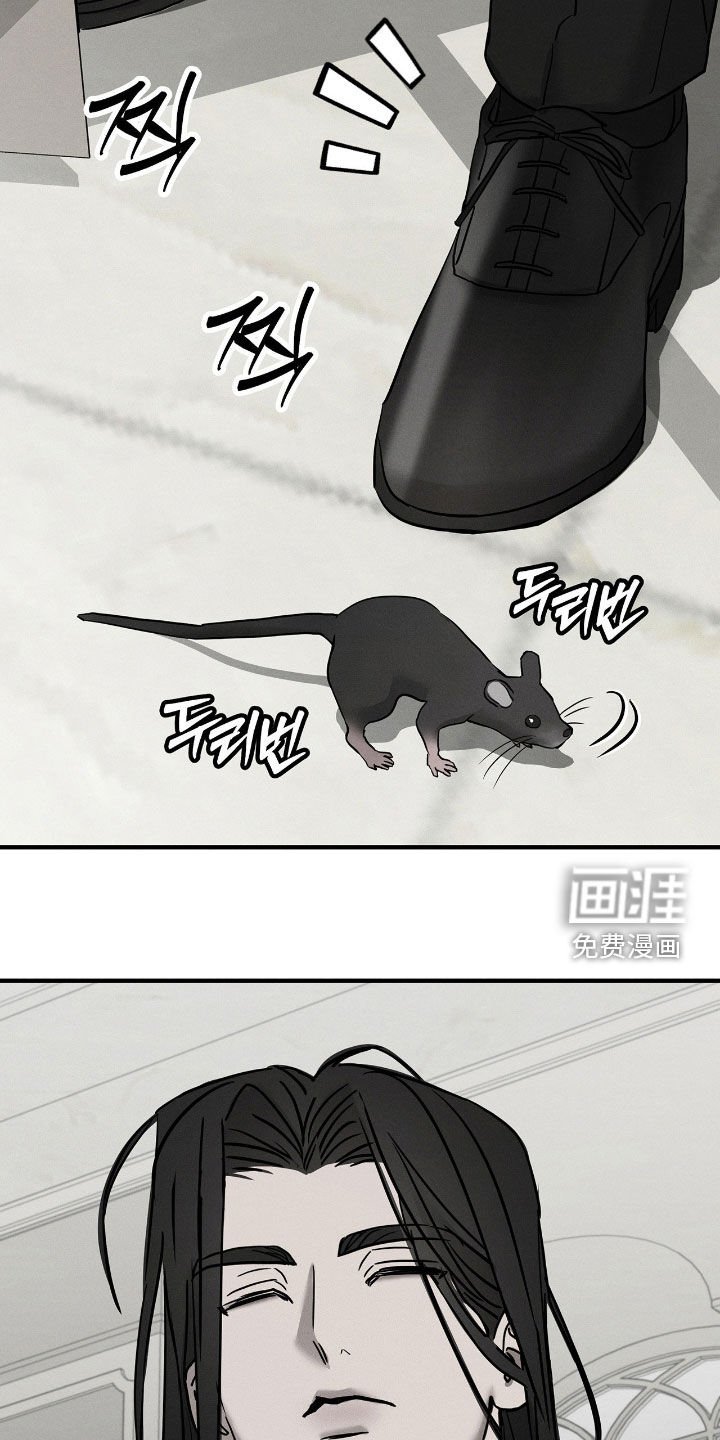 第29章：暴露