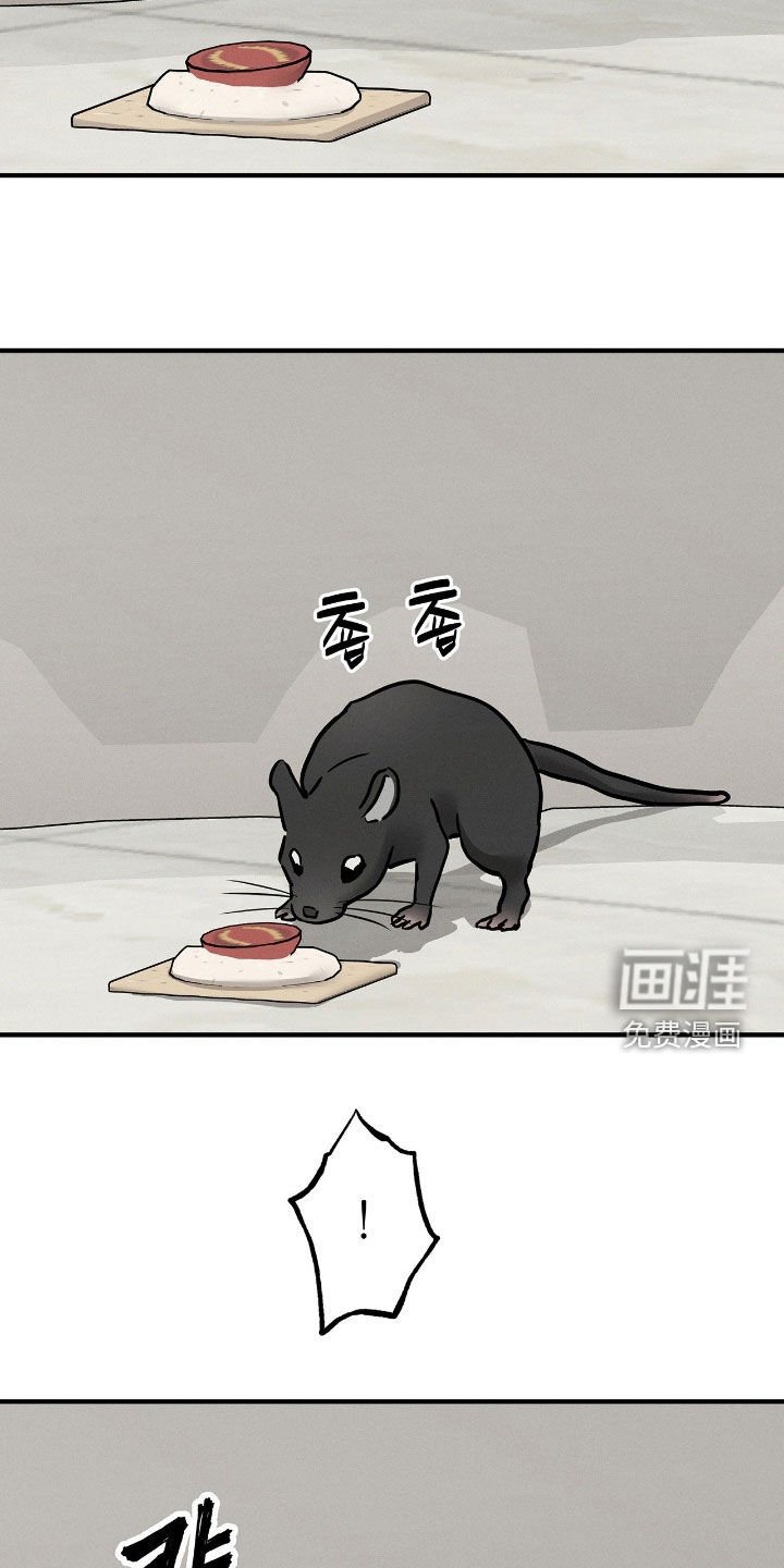 第29章：暴露