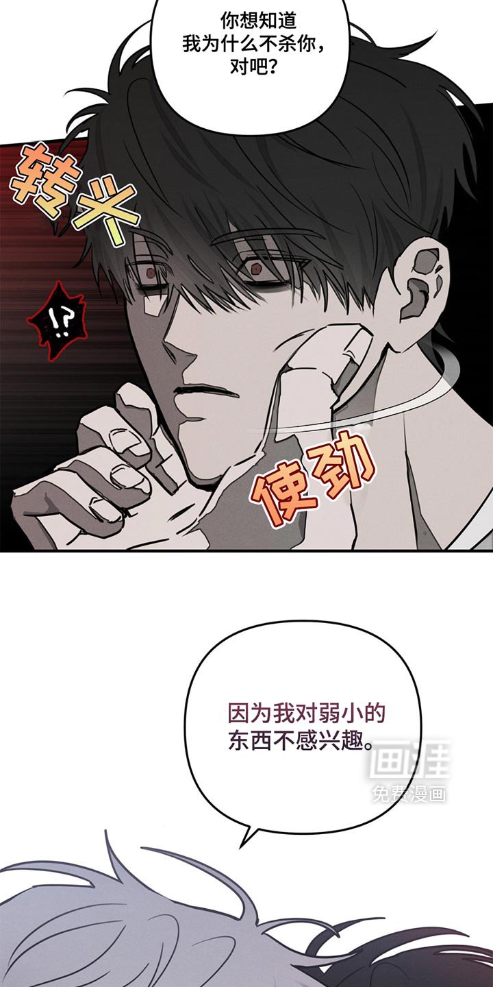 第5章：理由
