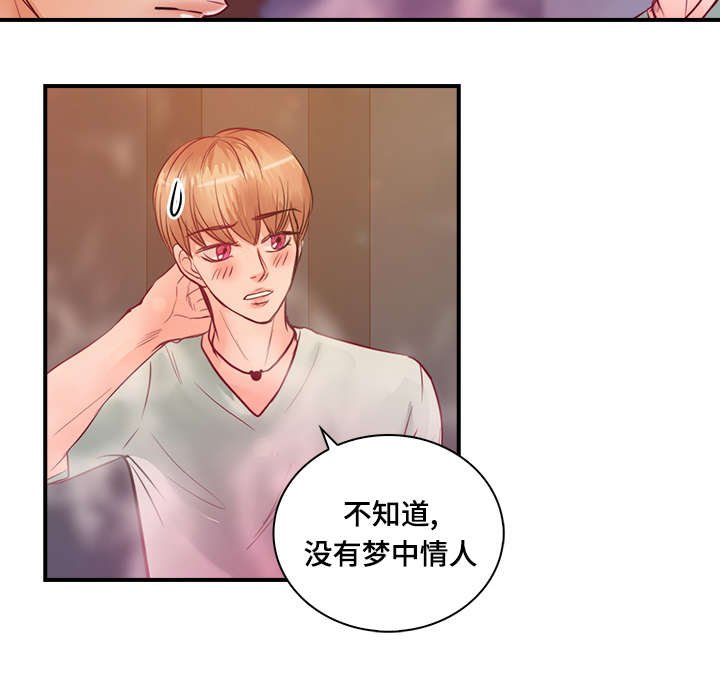 第26章：梦中情人
