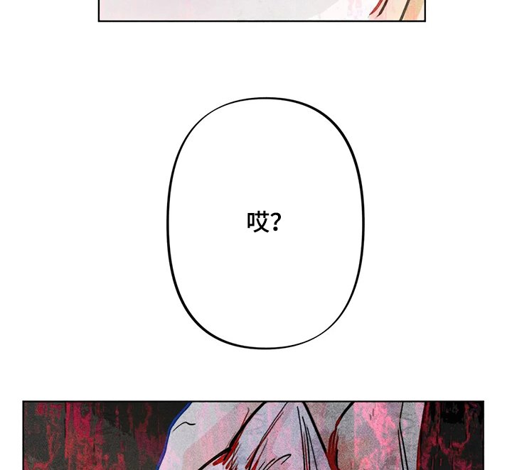 第46章：攻击性