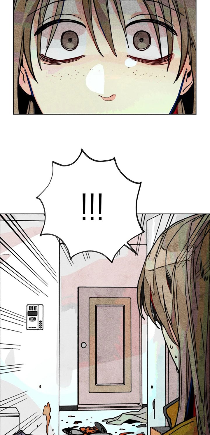 第52章：一团乱
