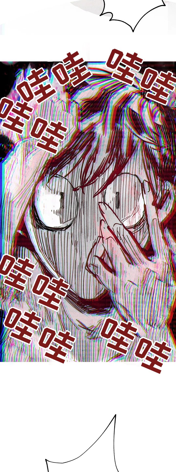 第68章：双胞胎