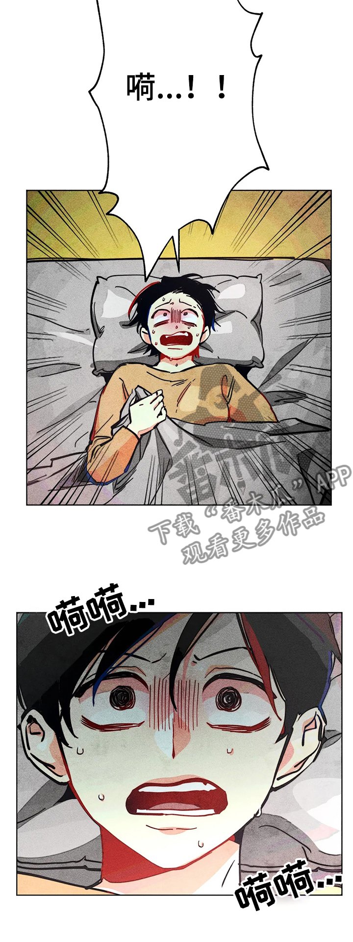 第68章：双胞胎