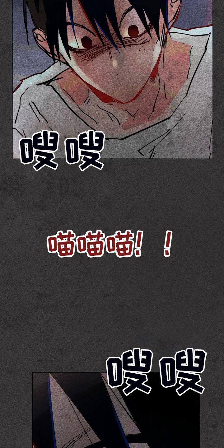 第93章：是达云杀了猫