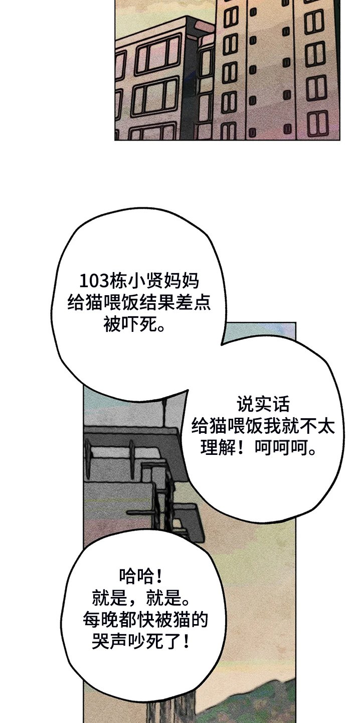 第93章：是达云杀了猫