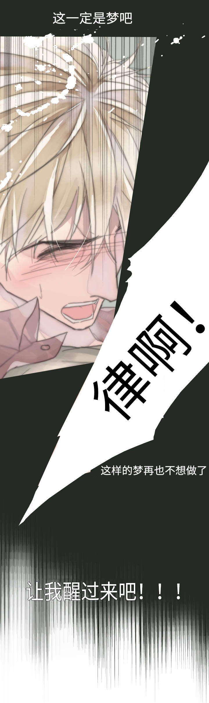 第2章：梦醒