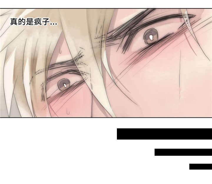 第33章：疯子